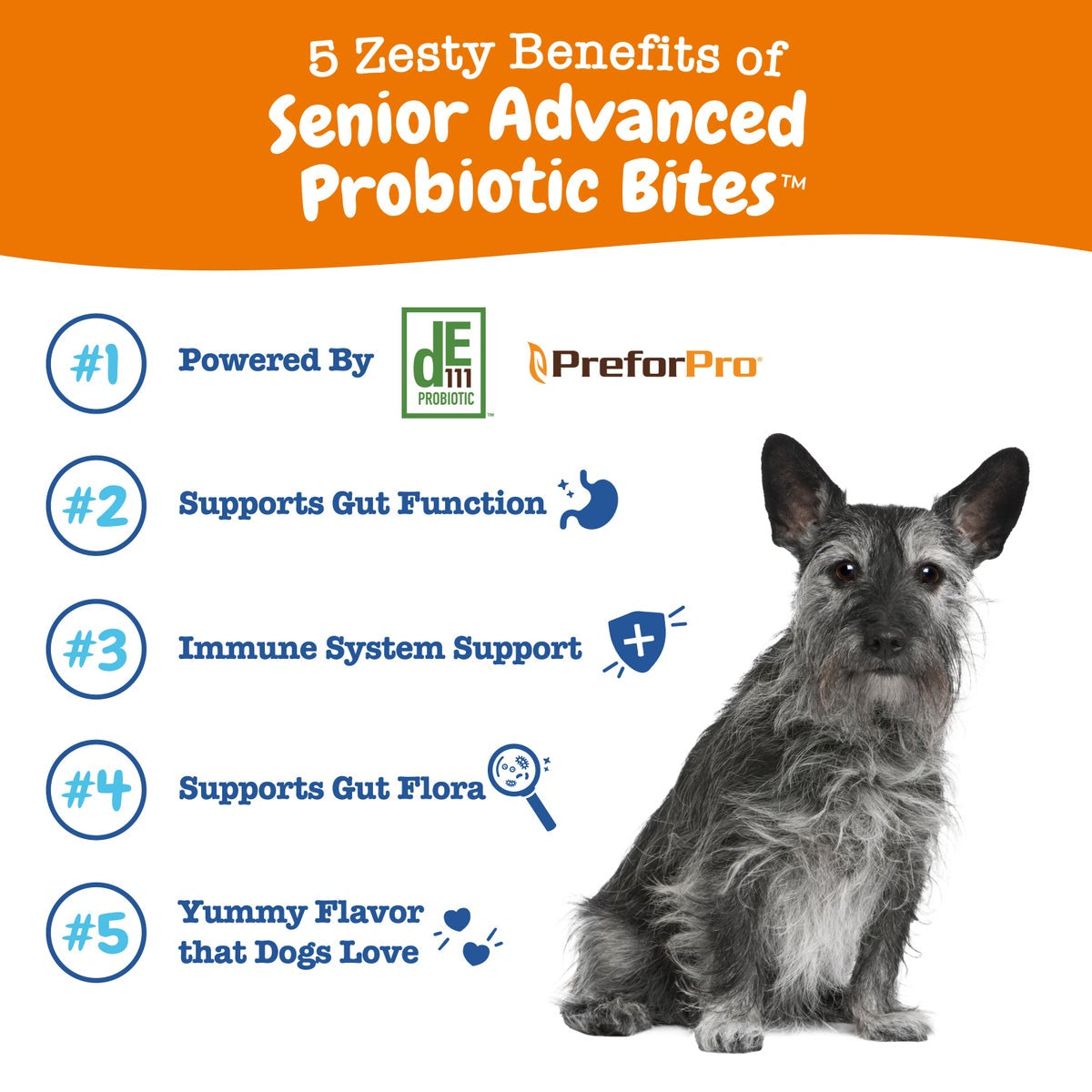 Senior Advanced Probiotic Bites for Dogs, for Gut & Digestive Health, Chicken Flavor 90 Ct Soft Chews